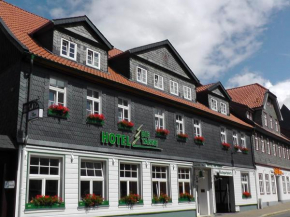 Гостиница Hotel Die Tanne  Гослар